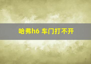 哈弗h6 车门打不开